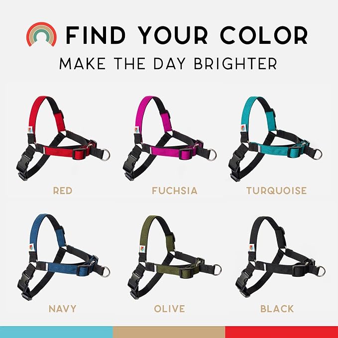 No Pull Dog Harness | Comfortable Training Harnesses | Effective No Pull Harness Design | Ideal for Medium Sized Dog | 4-Point Adjustable(M - 22~28 inch Girth, Turquoise)