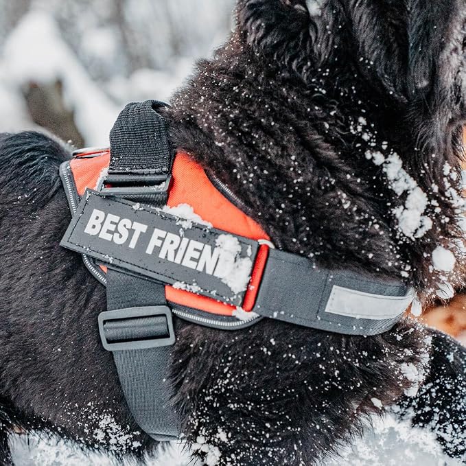 Personalized Dog Harness with Custom Name Patches, Adjustable Reflective No Choke Dog Vest with Handle for Small Sized Dog, US Flag, S