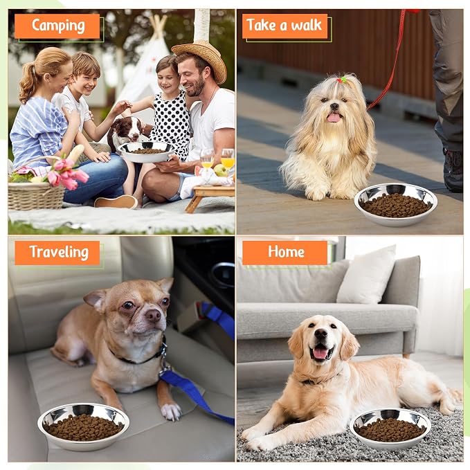 Patelai Stainless Steel Dog Bowls with Silicone Lids for 1.9 Cups Portable Food and Water Dishes for Pets Sealable Containers for 6.3" for Cats & Small Dogs(Red,Purple)