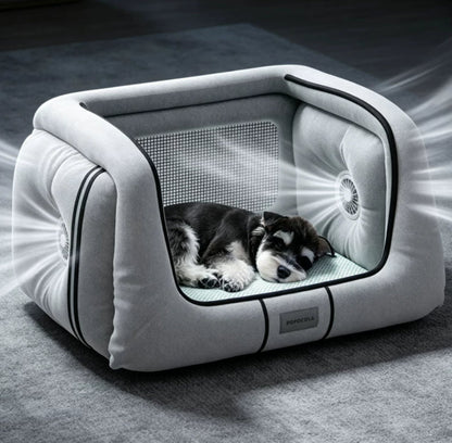 Cooling Down Cats And Dogs In Summer In An Air-conditioned Room