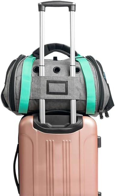 Travel Cat Carrier Bag - Comfort Premium Portable Soft-Sided Pet Carrier for Small, Medium Cat, Kitten up to 30 LBs - Airline Approved Cat Carrier Soft with Shoulder Strap (Heather Grey/Teal)