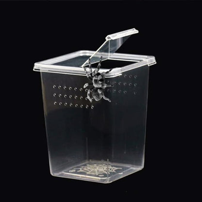 3 Pcs Acrylic Transparent Insect Reptile Spider Terrariums Breeding Box Hatching Container,Portable Small Reptile Animal Habitat Cage,Plastic Transport Container(Big Size)