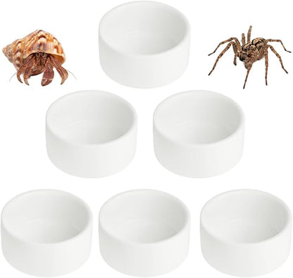 6 Pcs Spider Micro Ceramic Water Bowl, Mini Pet Dish for Spider Tarantula Scorpion Millipede Hermit Crab Tiny Reptile (1 oz)