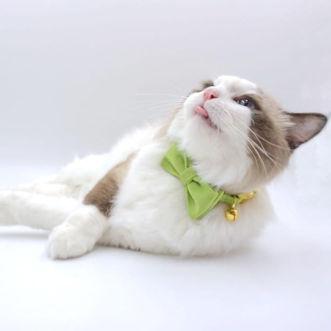 Personalized Cat Collars with Bells Custom Cat Collar with Name Tag Cute Soft Small Cat Collar for Boy and Girl Cats Kitten (Matcha Green)