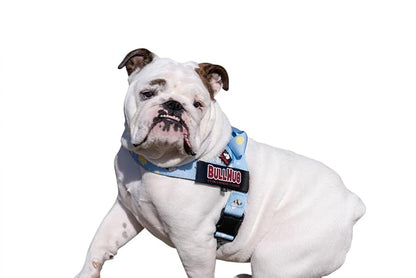 Adjustable Dog Harness– No Pull, No Choke – for English Bulldogs, French Bulldogs, Pugs & Broad-Chested Breeds – Easy, Safe Walks (Bumble BEE, Small)