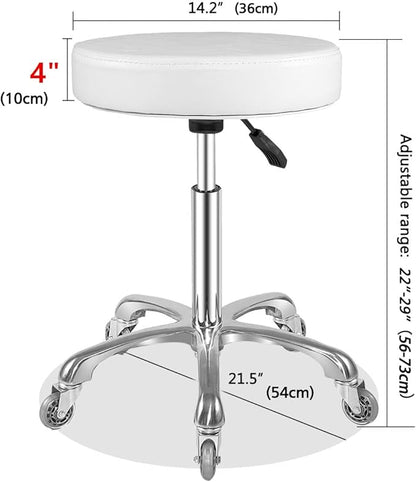 Ainilaily Rolling Stool with Wheels Adjustable Swivel Heavy Duty Hydraulic Stools Chair for Shop Guitar Lab Tattoo Workbench Medical (White)