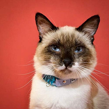 Kittyrama Mauve Cat Collar with Bell. Cat Friendly Award Winner. Approved by Vets and Cat Experts. Breakaway Cat Collars Quick Release. Kitten Collar. Won't Rub Fur. Lightweight, Soft & Comfy