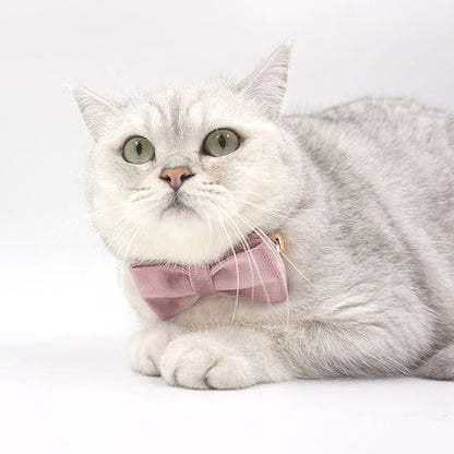 Personalized Cat Collar with Bells,Velvet Customized Small Cat Collar with Name Tag,Pet Collar with Name Phone Number Engraved ID Tags for Boy and Girl Kitten Cats (Pink Purple)