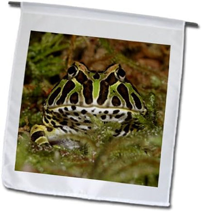 3dRose Pacman frog, South American Horned frog - NA02 AJE0361 - Adam Jones 12 x 18 inch Garden Flag