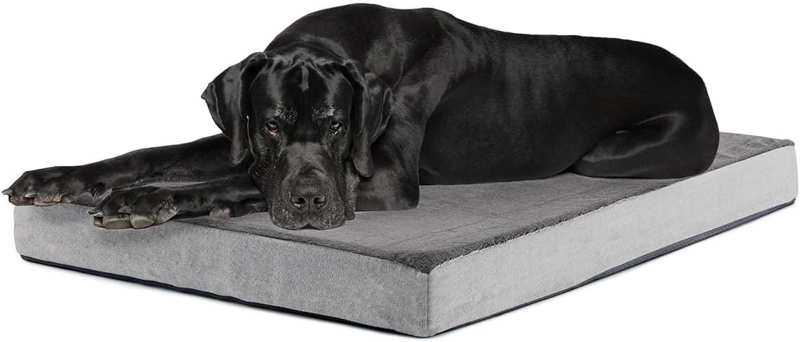 Barkbox Orthopedic Dog Bed with Memory Foam, Premium Comfort for Dogs and Puppies, Dog Bed for Joint Relief and Restful Sleep, Durable and Easy to Clean - Grey, XXL