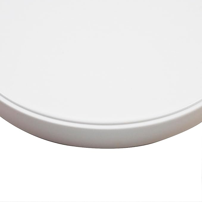 OMEM Reptile Food Bowl Water Dish,Feeding Dish, Birds Bowl (M, White)