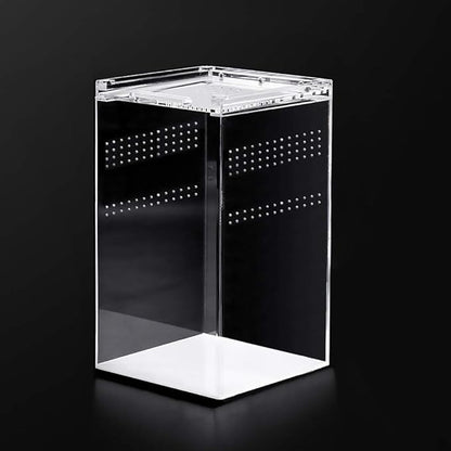 NANEEZOO Magnetic Acrylic Reptile Cage, 6"x6"x9" Tall Enclosure Transparent Reptile Breeding Box Terrarium Tank for Tarantula Scorpion Sling Isopods Invertebrates Insect Mantis
