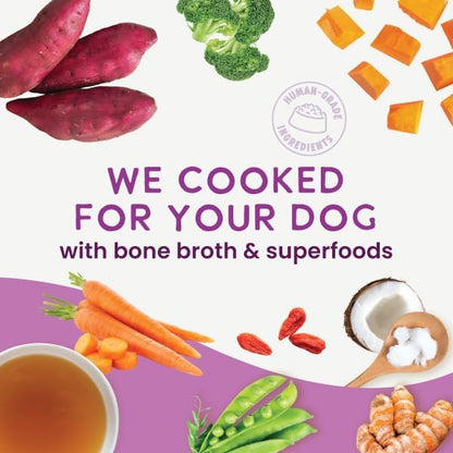 Health Extension Gently Cooked Grain-Free Vegetarian Formula Dog Food, Human-Grade & Shelf-Stable with Superfoods, Supports Digestion, Immunity, Skin & Coat, 9 oz Pouch (Pack of 5)