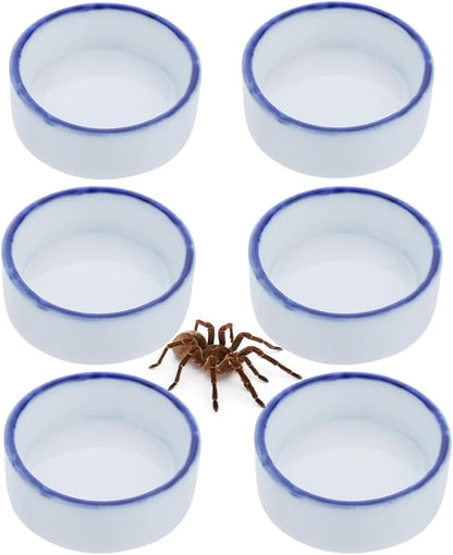 6 Pack Tarantula Ceramic Feeding Bowl Hermit Crab Water Bowl Spider Small Reptile Micro Ceramic Food Dish (1.37" D, 0.51" H)