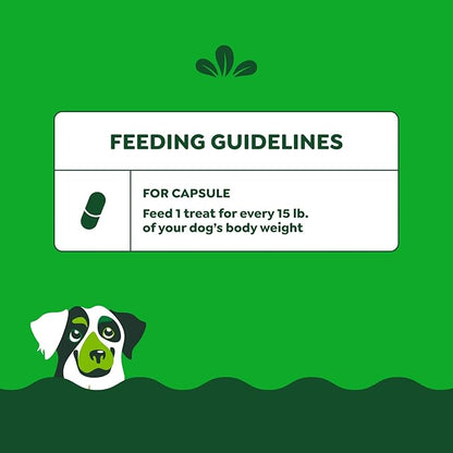 Greenies Pill Pockets for Dogs Large Size, Soft Dog Treats, Real Peanut Butter Flavor, (6) 7.9 oz. Pouches (180 Treats Total)