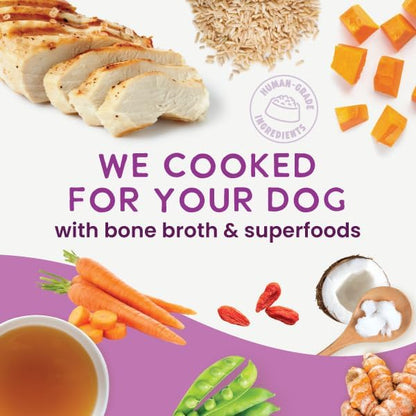 Health Extension Gently Cooked Chicken & Pumpkin Dog Food, Human-Grade & Shelf-Stable with Superfoods, Supports Digestion, Immunity, Skin & Coat, 9 oz Pouch (Pack of 10)