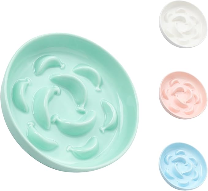 Ceramic Cat Slow Feeder Bowl - Pastel Series Cat Plate for Dry and Wet Food - Cute Maze Feeder Dish for Healthy Eating - Dishwasher Safe - 6.3''W x 1.2''H - 7 OZ - Mint Green