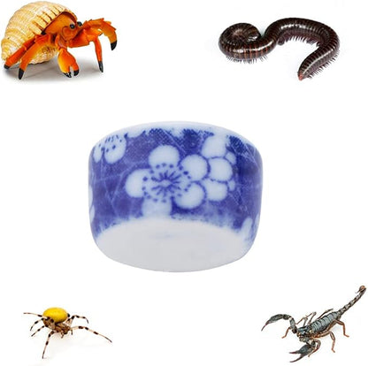 DQITJ 9 Pcs Spider Micro Ceramic Water Bowl, Hermit Crab Mini Dish for Spider Tarantula Hermit Crab Millipede Tiny Reptile