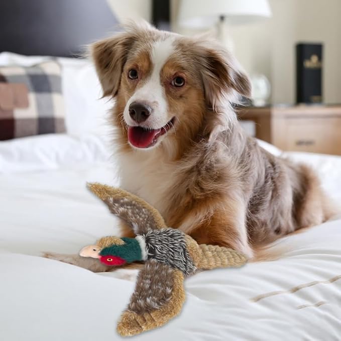 Pheasant Dog Toy Squeaky Pet Toys,Pheasant Interactive Chew Toys Stuffed Teething Toys for Large Medium Small Dog,Pheasant Dogs Toys Squeaky Toy to Keep Them Busy (R-2pheasant)