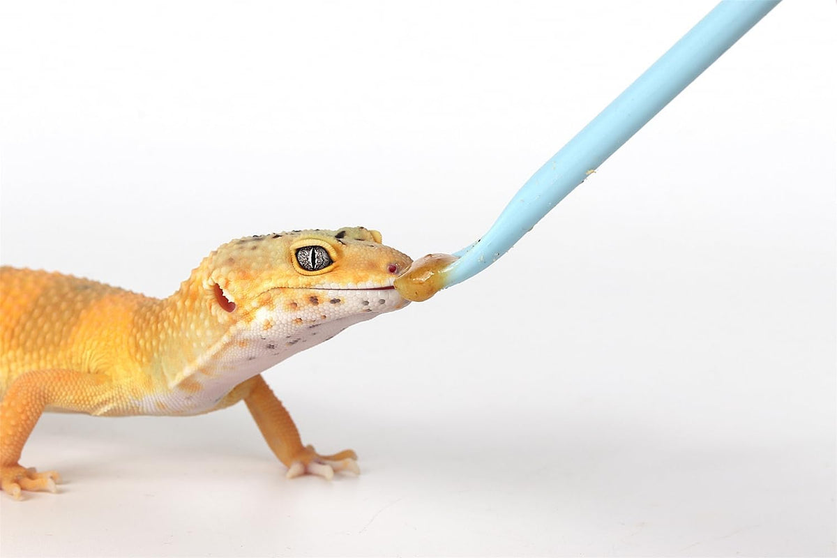 2Pcs Crested Gecko Food Mixing Spoon, Feeding Spoon fit Lizard Gargoyle Bearded Dragon - Blue