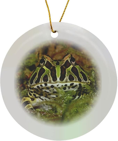 3dRose Pacman Frog, South American Horned Frog - NA02 AJE0361 - Adam Jones Circle Porcelain Ornament
