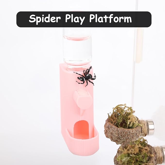 Small Animal Water Feeder, Magnetic Hanging Feeder & Hidden Cave - Accessories for Jumping Spiders, Wolf Spiders, Mantises, Arboreal Animals & Other Small Creatures - 5ML Capacity (Green)