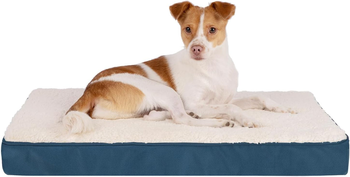 Best Pet Supplies Cute Dog Crate Mat Flat Bed with Waterproof Exterior, Thick Orthopedic Egg Foam Mattress, and Soft Sherpa Fleece Cover for Small, Medium, and Large Breeds - Blue, 24X16X3
