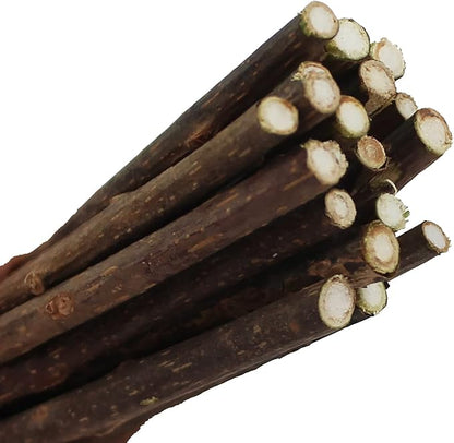 Penn-Plax Cat-Life Silvervine Sticks for Cats – Natural Chew Toy – The Better Alternative to Catnip – 20 Pieces per Pack