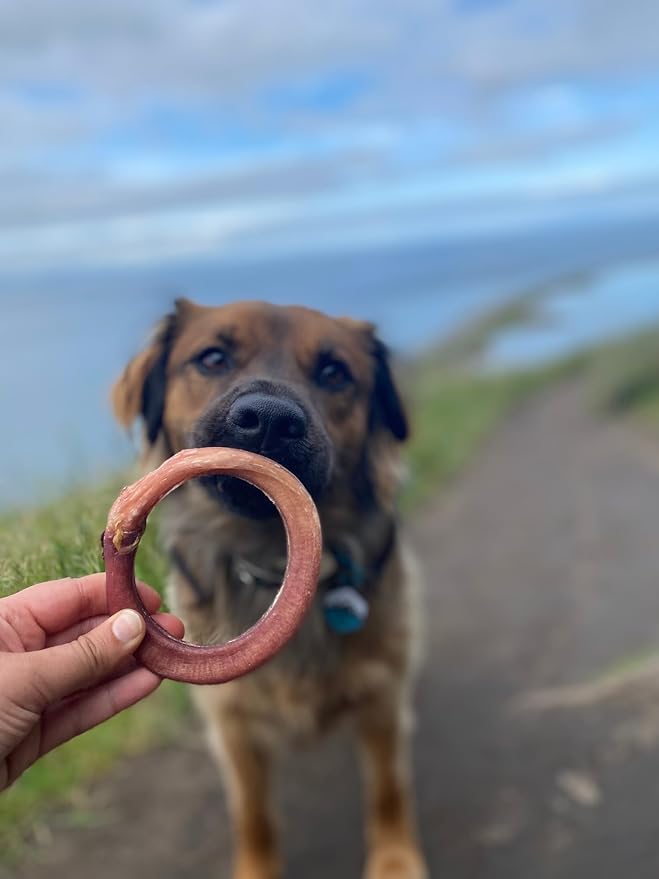 Redbarn Pet Products All-Natural 4" Bully Stick Rings for Dogs - Premium Grain-Free & Rawhide-Free Single Ingredient Long Lasting Low Odor Dental Treat for Chewers - 3 Count