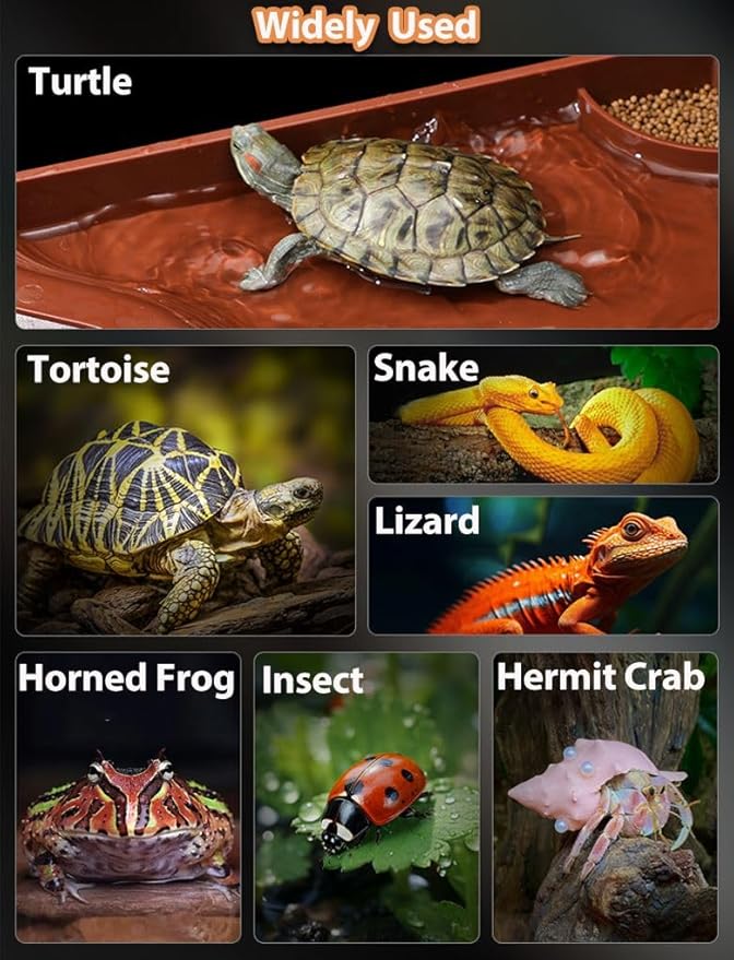 Tortoise Water Bowl with Ramp, 3PCS Leaf Reptile Food Water Bowl Turtle Pool Reptile Water Dish Tortoise Bathing Pool Turtle Soaking Dish Aquarium Habitat Accessories Large