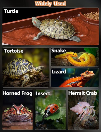 Tortoise Water Bowl with Ramp, 3PCS Leaf Reptile Food Water Bowl Turtle Pool Reptile Water Dish Tortoise Bathing Pool Turtle Soaking Dish Aquarium Habitat Accessories Large