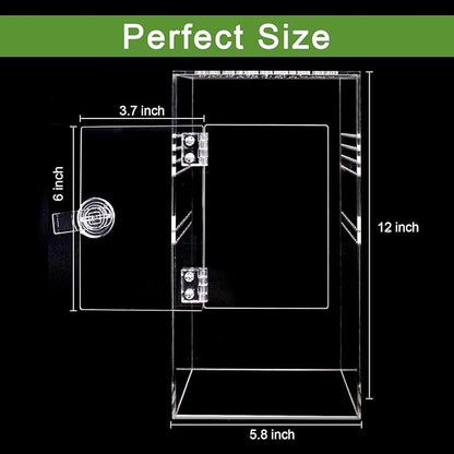 NANEEZOO Jumping Spider Enclosure with Front Opening Door, 6"x6"x12" Reptile Breeding Box Micro Habitat Terrarium for Small Tree Dwelling Reptiles, Spiders, Mantis & Invertebrates