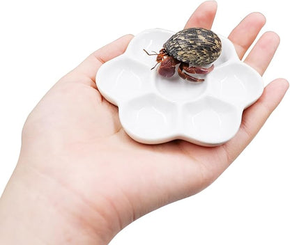 3 Pack Hermit Crab Food Bowl & Water Dish, Ceramic Hermit Crab Feeder Kit, Suitable for Hermit Crab Tarantula Snail