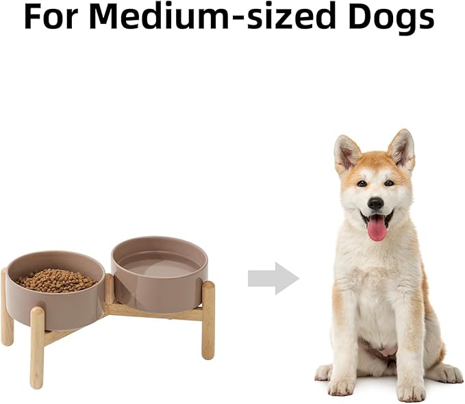 Ceramic 6.1inch Raised Dog Bowl