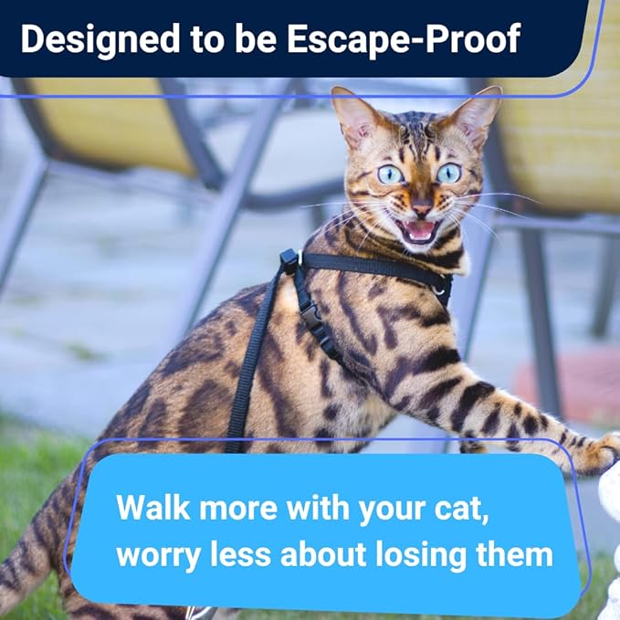 Houdini™ Escape Proof Cat Harness and Leash Set by OutdoorBengal for Walking Cats and Kittens (Vegan Leather, Kitten)