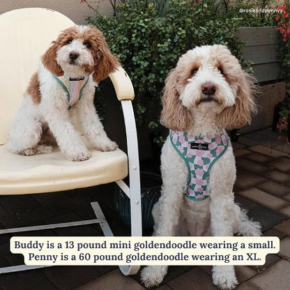 Lucy & Co. Reversible Dog Harness - Water-Repellent Neoprene, Dual-Print Design, Easy Swap Style, Adjustable Comfort Fit - Just Chill Reversible Harness - Large