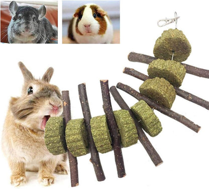 Bunny Chew Toys for Teeth, Organic Apple Wood Molar Sticks with Timothy Hay Circles for Bunny Chinchilla Guinea Pig Hamsters Holland Lop Prairie Dogs Squirrels Gerbils, Improves Dental Health