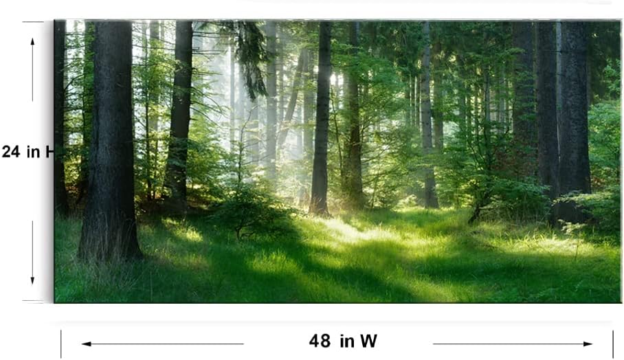 Morning Sunlight Forest Large Stretched Canvas Wall Art for Living Room Bedroom Home,Mordern Woods Scenery Picture Print Painting Decor Artwork,Green Landscape Gallery Wrapped Gift,Inner Frame(24x48)