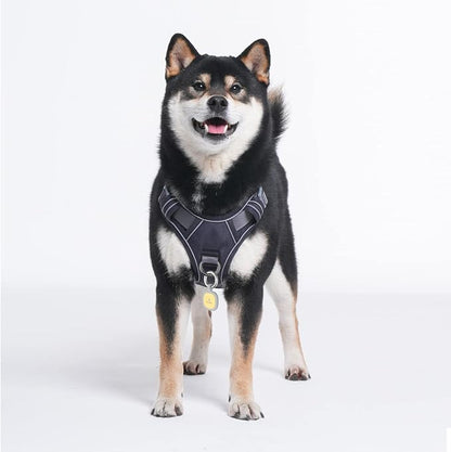 Pawaii Dog Harness with Pet ID Tag, No Choke Dog Harness, Adjustable Soft Padded Pet Vest with Easy Control Handle