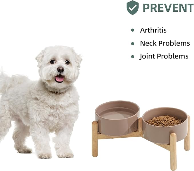 Ceramic 6.1inch Raised Dog Bowl