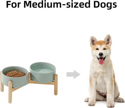 Ceramic 6.1inch Raised Dog Bowl