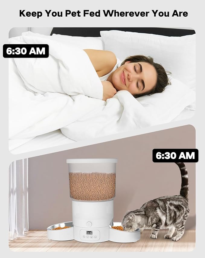SURDY Automatic Cat Feeder