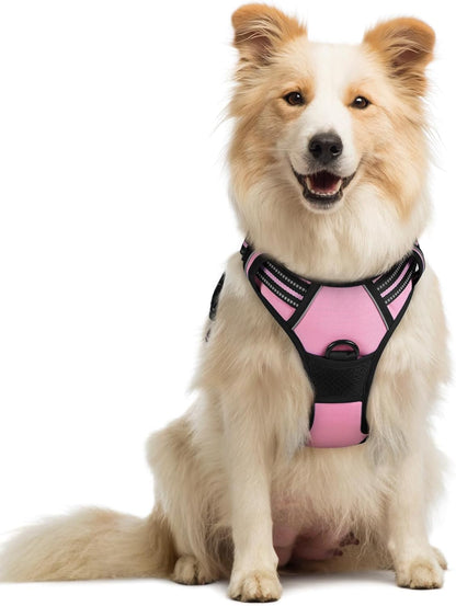 rabbitgoo Dog Harness No Pull with 2 Leash Clips, Adjustable Soft Padded, Reflective Oxford No Choke Pet Vest with Easy Control Handle for Medium Sized Dogs, Pink, M