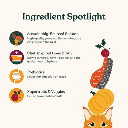 Made by Nacho Dry Cat Kibble 11lb Bag, High Protein and Grain-Friendly Premium Cat Food, Sustainably Caught Salmon and Pumpkin, Infused with Bone Broth for Hydration, Limited Ingredients, Single Bag