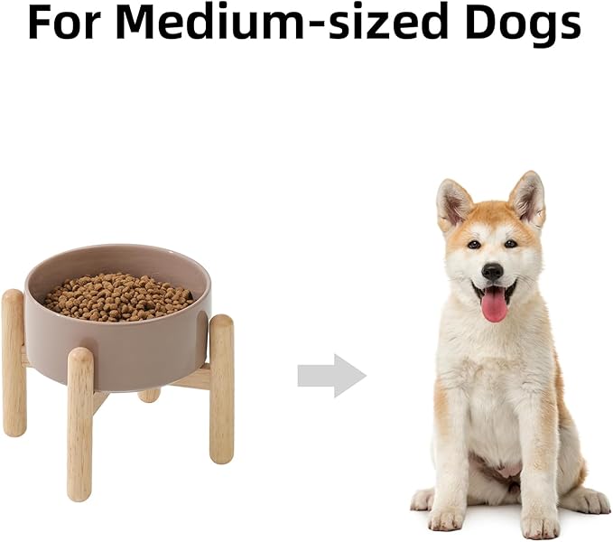 Ceramic 6.1inch Raised Dog Bowl
