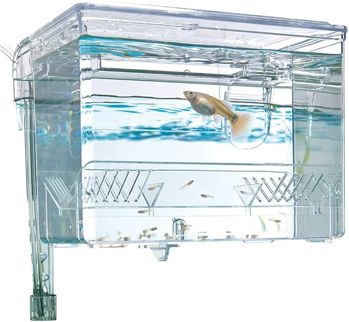 Fluval Multi-Chamber Holding and Breeding Box, Medium
