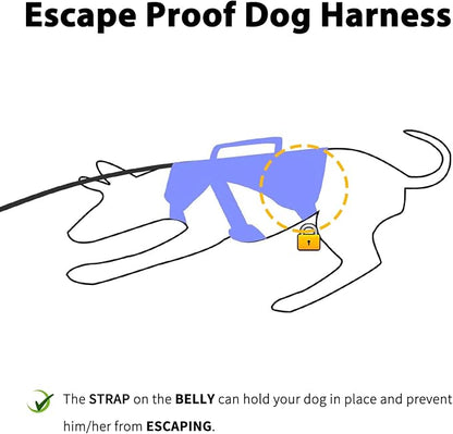 Escape Proof Dog Harness, Dachshund Harness, Reflective Dog Harness with Handle, Durable,Adjustable Vest for Small Medium Large Dogs Walking, Training, and Running Gear (Technicolor Blue,L)