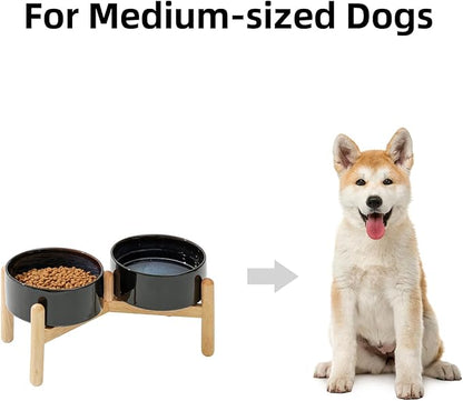 Ceramic 6.1inch Raised Dog Bowl