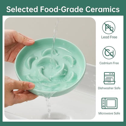 Ceramic Cat Slow Feeder Bowl - Pastel Series Cat Plate for Dry and Wet Food - Cute Maze Feeder Dish for Healthy Eating - Dishwasher Safe - 6.3''W x 1.2''H - 7 OZ - Mint Green