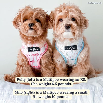 Lucy & Co. Reversible Dog Harness - Water-Repellent Neoprene, Dual-Print Design, Easy Swap Style, Adjustable Comfort Fit - Take a Bow Reversible Harness - X-Large
